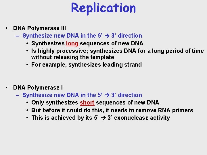 Replication • DNA Polymerase III – Synthesize new DNA in the 5’ 3’ direction