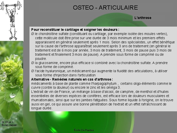 OSTEO - ARTICULAIRE L'arthrose Pour reconstituer le cartilage et soigner les douleurs : Ø