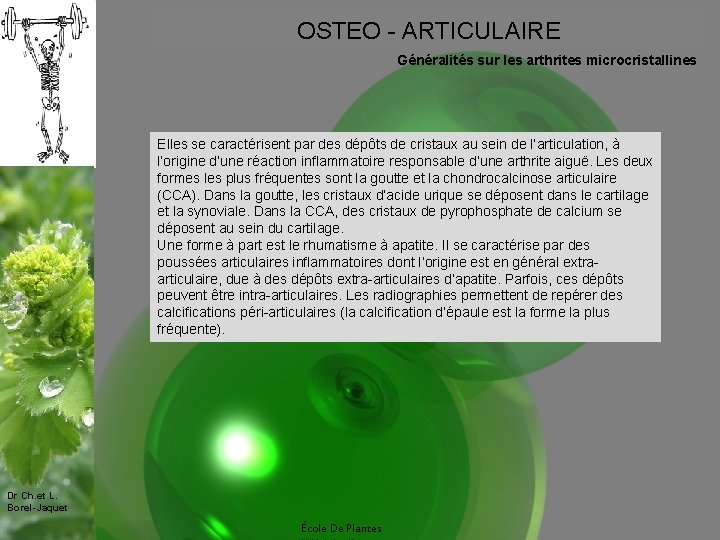 OSTEO - ARTICULAIRE Généralités sur les arthrites microcristallines Elles se caractérisent par des dépôts