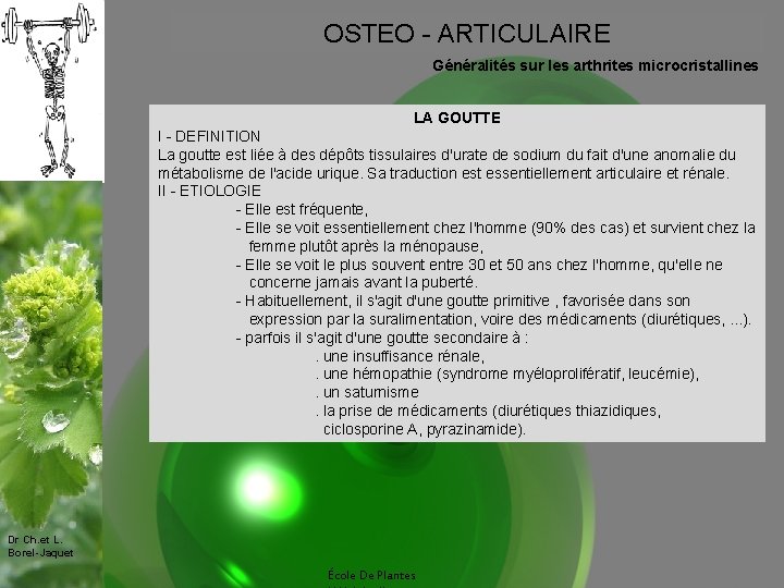 OSTEO - ARTICULAIRE Généralités sur les arthrites microcristallines LA GOUTTE I - DEFINITION La