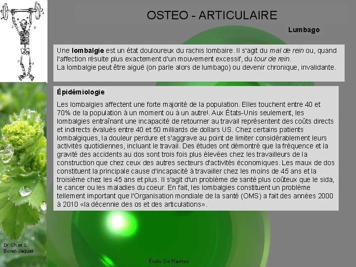 OSTEO - ARTICULAIRE Lumbago Une lombalgie est un état douloureux du rachis lombaire. Il