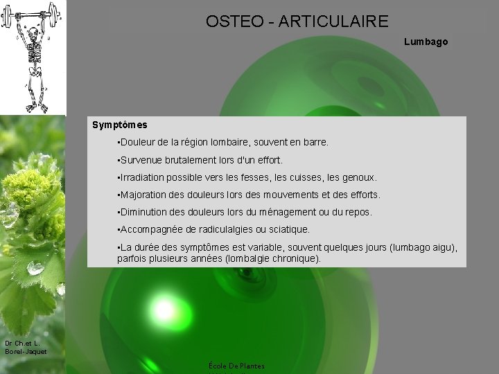 OSTEO - ARTICULAIRE Lumbago Symptômes • Douleur de la région lombaire, souvent en barre.