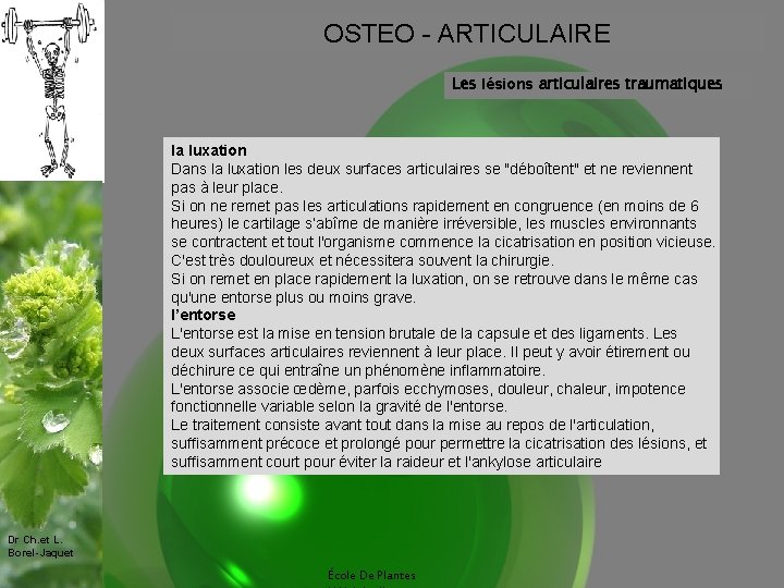 OSTEO - ARTICULAIRE Les lésions articulaires traumatiques la luxation Dans la luxation les deux