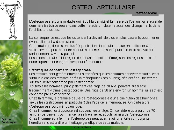 OSTEO - ARTICULAIRE L'ostéoporose est une maladie qui réduit la densité et la masse