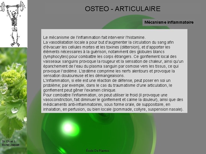 OSTEO - ARTICULAIRE Mécanisme inflammatoire Le mécanisme de l’inflammation fait intervenir l’histamine. La vasodilatation