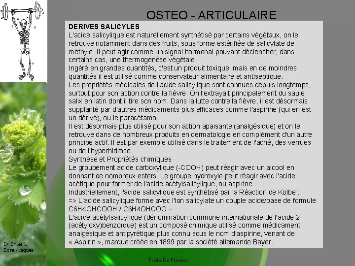 OSTEO - ARTICULAIRE Dr Ch. et L. Borel-Jaquet DERIVES SALICYLES L'acide salicylique est naturellement