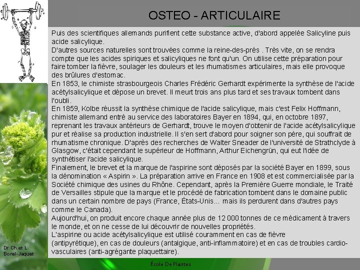 OSTEO - ARTICULAIRE Dr Ch. et L. Borel-Jaquet Puis des scientifiques allemands purifient cette