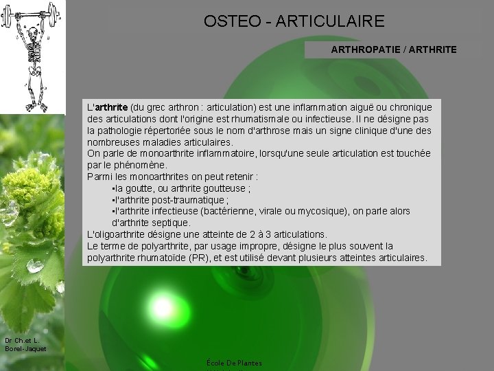 OSTEO - ARTICULAIRE ARTHROPATIE / ARTHRITE L'arthrite (du grec arthron : articulation) est une