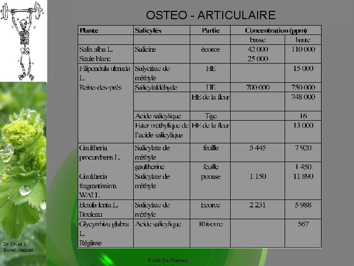 OSTEO - ARTICULAIRE Dr Ch. et L. Borel-Jaquet École De Plantes 