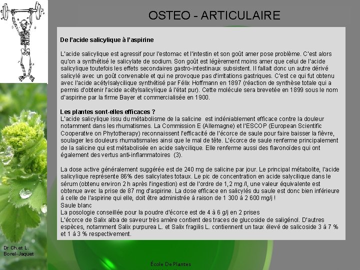 OSTEO - ARTICULAIRE De l’acide salicylique à l’aspirine L’acide salicylique est agressif pour l’estomac