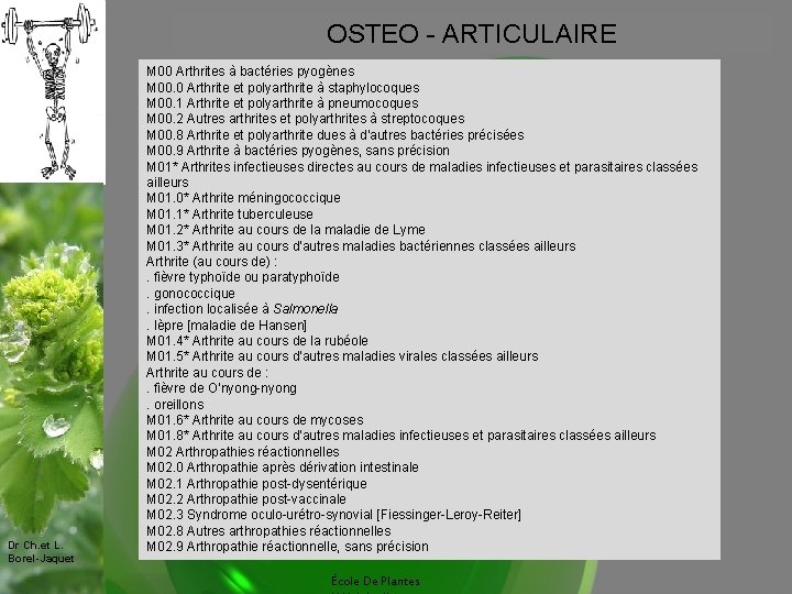 OSTEO - ARTICULAIRE Dr Ch. et L. Borel-Jaquet M 00 Arthrites à bactéries pyogènes