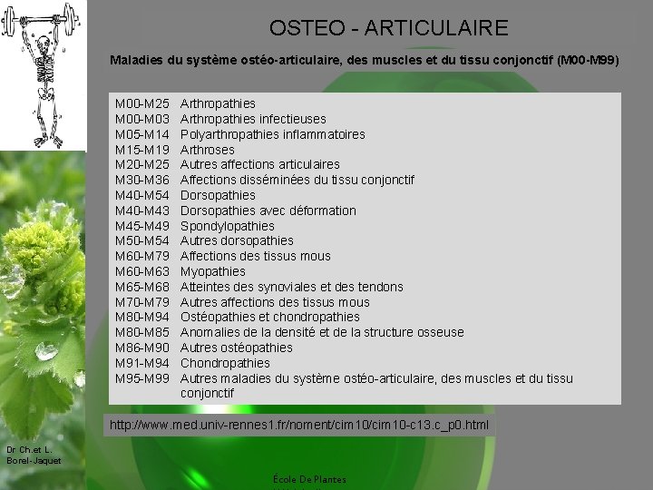 OSTEO - ARTICULAIRE Maladies du système ostéo-articulaire, des muscles et du tissu conjonctif (M