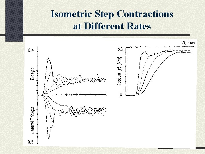 Isometric Step Contractions at Different Rates 