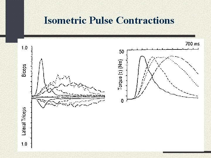 Isometric Pulse Contractions 