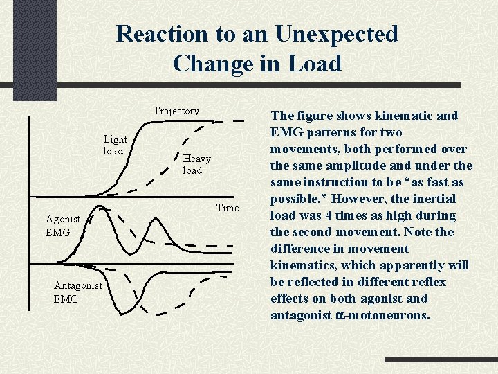 Reaction to an Unexpected Change in Load Trajectory Light load Agonist EMG Antagonist EMG