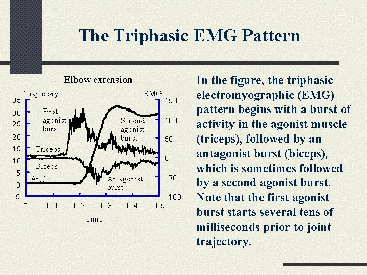 The Triphasic EMG Pattern Elbow extension 35 Trajectory EMG First agonist burst 30 25
