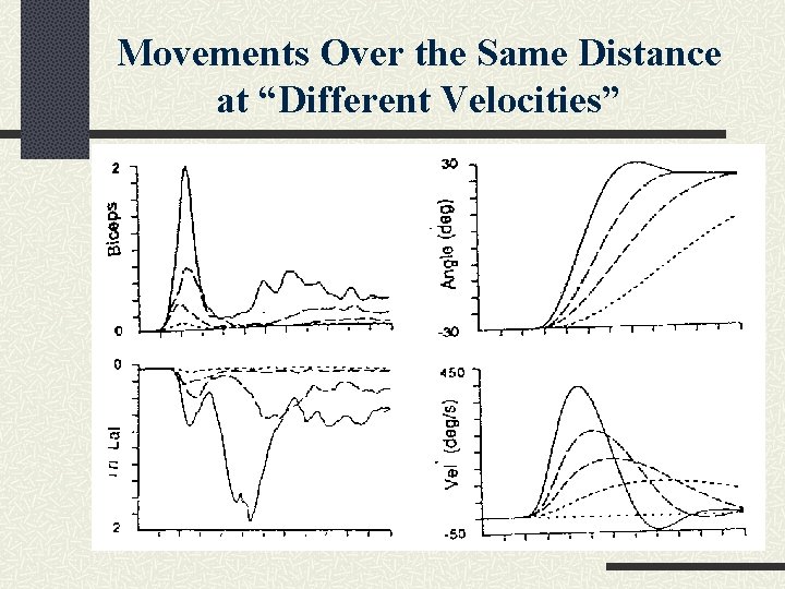Movements Over the Same Distance at “Different Velocities” 