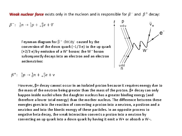 Feynman diagram for β − decay: caused by the conversion of the down quark