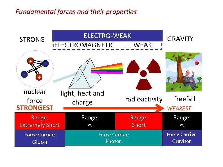 Fundamental forces and their properties STRONG ELECTRO-WEAK ELECTROMAGNETIC WEAK GRAVITY + + nuclear light,