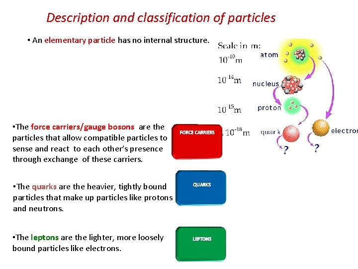 Description and classification of particles ▪ An elementary particle has no internal structure. ▪The