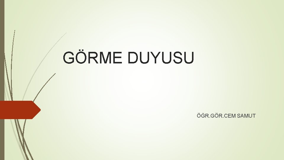 GÖRME DUYUSU ÖĞR. GÖR. CEM SAMUT 