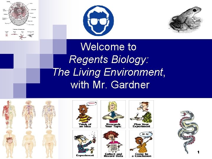 Welcome to Regents Biology: The Living Environment, with Mr. Gardner 1 