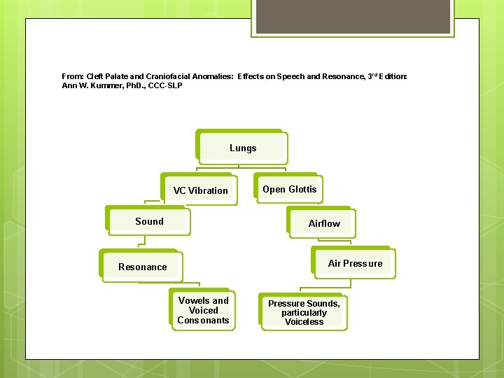 From: Cleft Palate and Craniofacial Anomalies: Effects on Speech and Resonance, 3 rd Edition:
