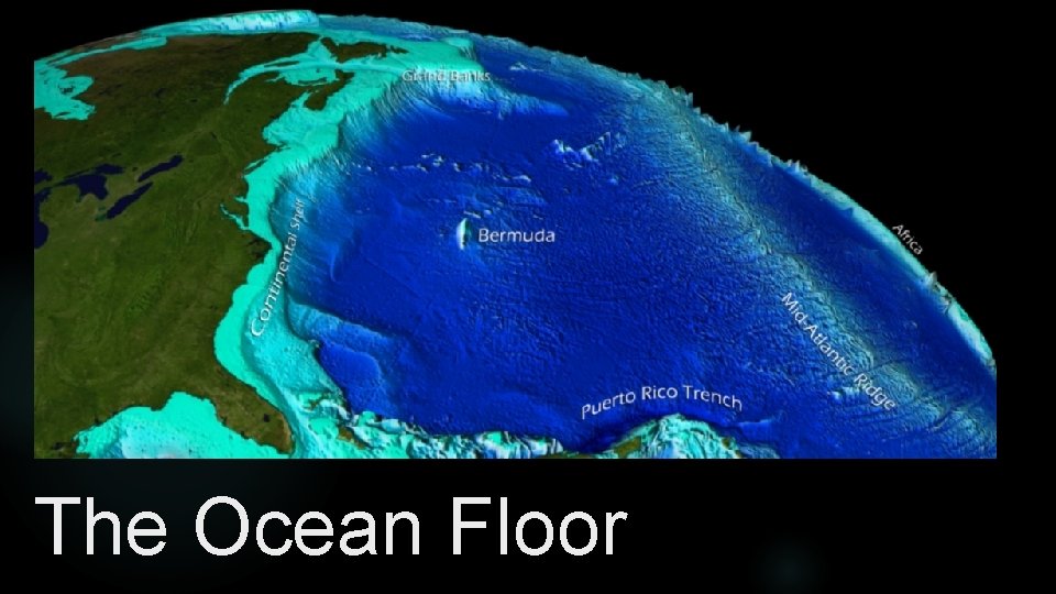 The Ocean Floor 