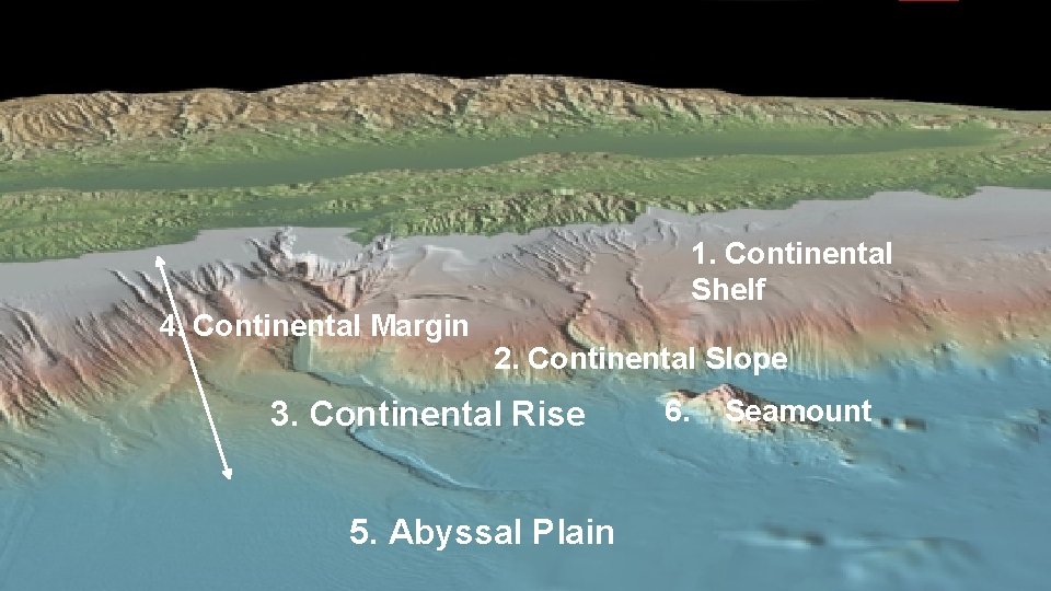 Identify the numbered ocean features 1. Continental Shelf 4. Continental Margin 2. Continental Slope