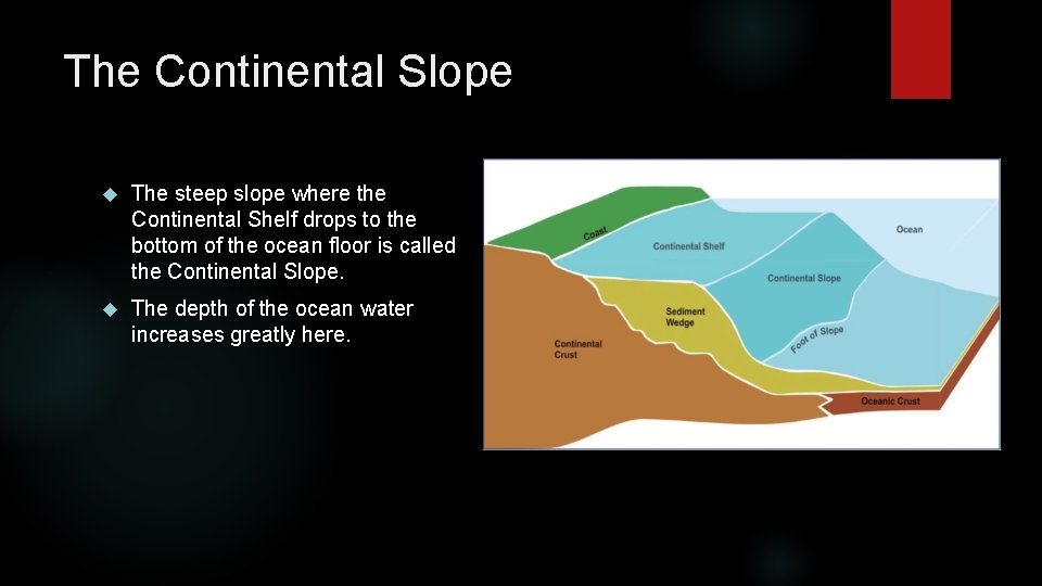 The Continental Slope The steep slope where the Continental Shelf drops to the bottom