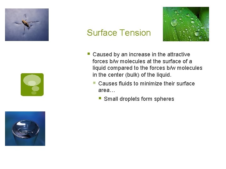 Surface Tension § Caused by an increase in the attractive forces b/w molecules at