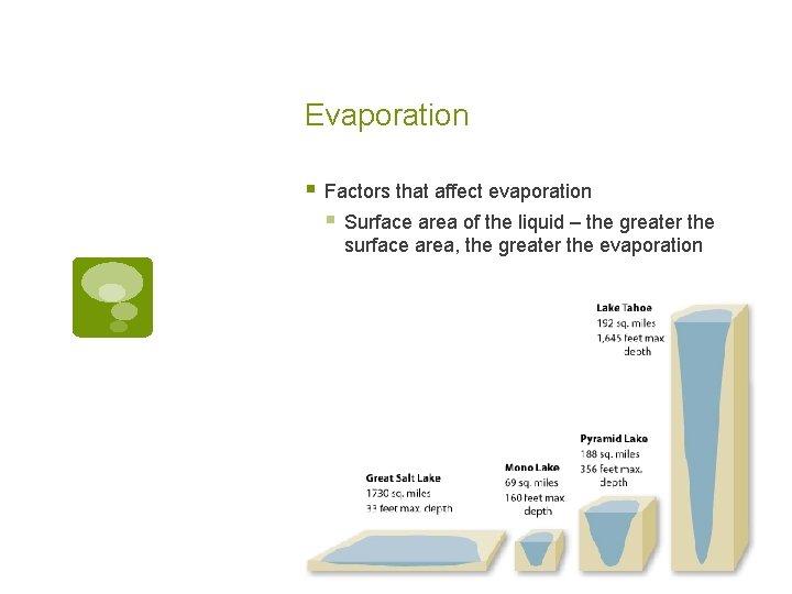 Evaporation § Factors that affect evaporation § Surface area of the liquid – the