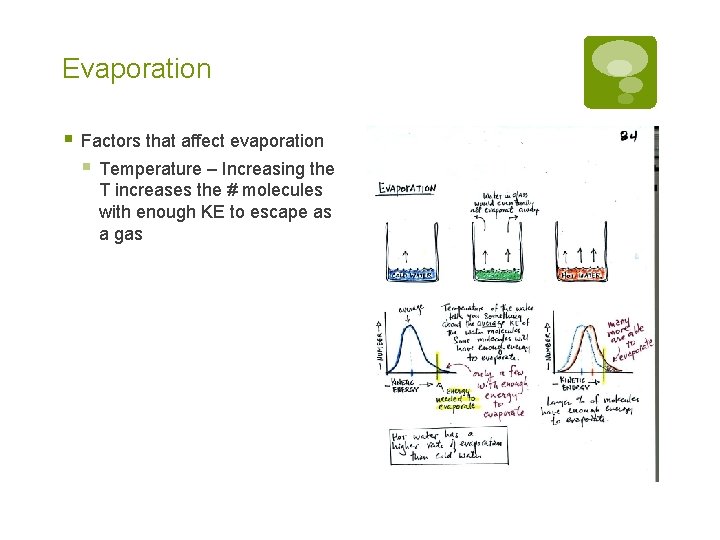 Evaporation § Factors that affect evaporation § Temperature – Increasing the T increases the