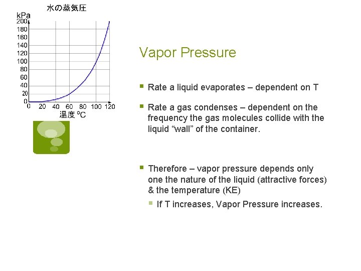 Vapor Pressure § Rate a liquid evaporates – dependent on T § Rate a