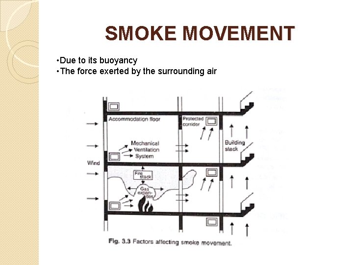 SMOKE MOVEMENT • Due to its buoyancy • The force exerted by the surrounding