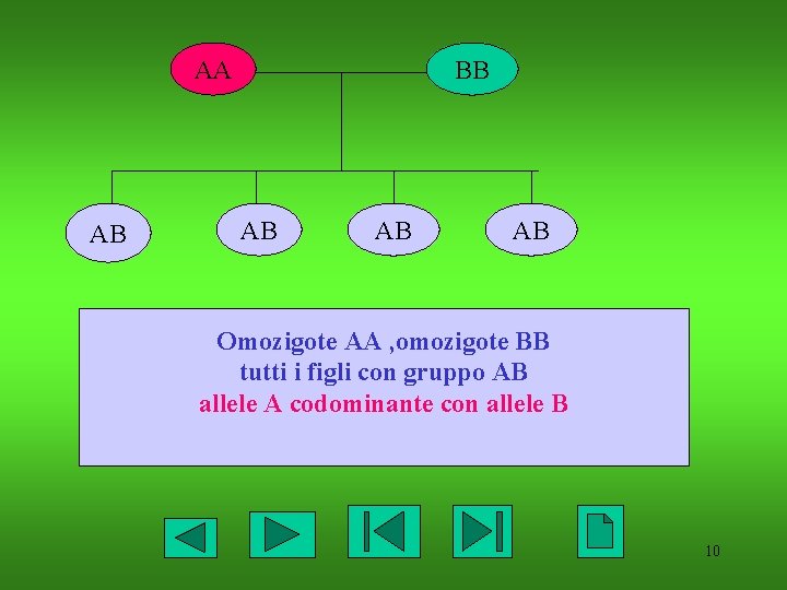 AA AB BB AB AB AB Omozigote AA , omozigote BB tutti i figli