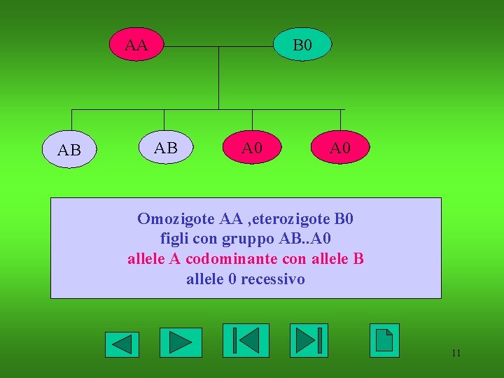 AA AB B 0 AB A 0 Omozigote AA , eterozigote B 0 figli