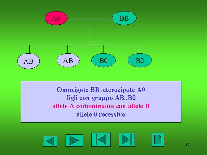 A 0 AB BB AB B 0 Omozigote BB , eterozigote A 0 figli