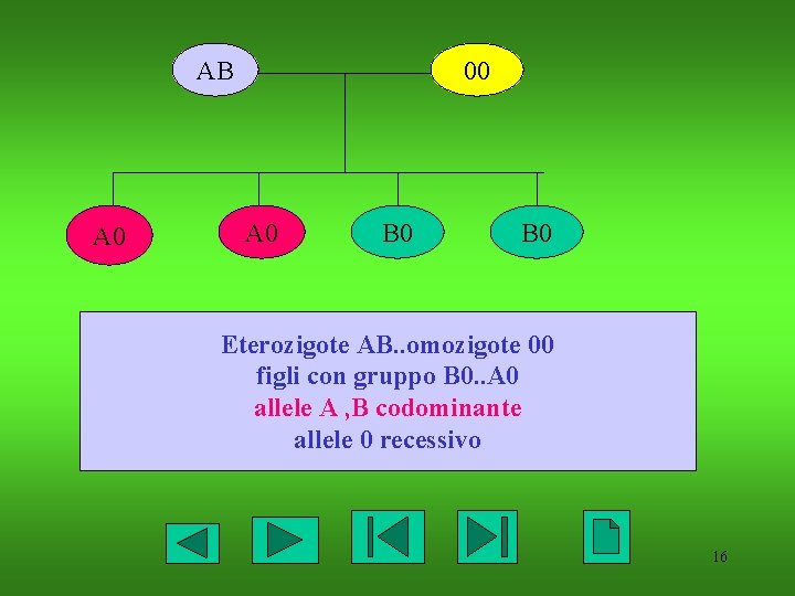 AB A 0 00 A 0 B 0 Eterozigote AB. . omozigote 00 figli