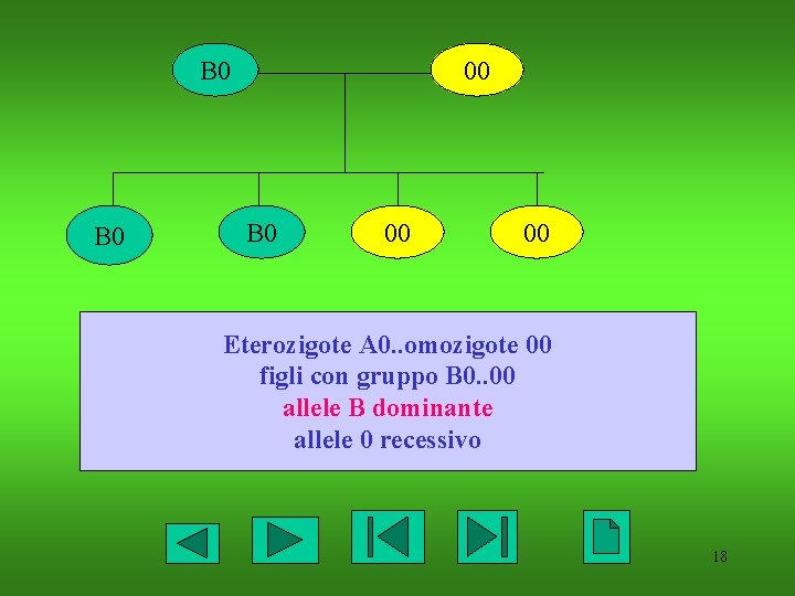 B 0 00 00 Eterozigote A 0. . omozigote 00 figli con gruppo B