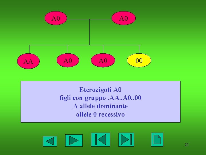 A 0 AA A 0 A 0 00 Eterozigoti A 0 figli con gruppo.