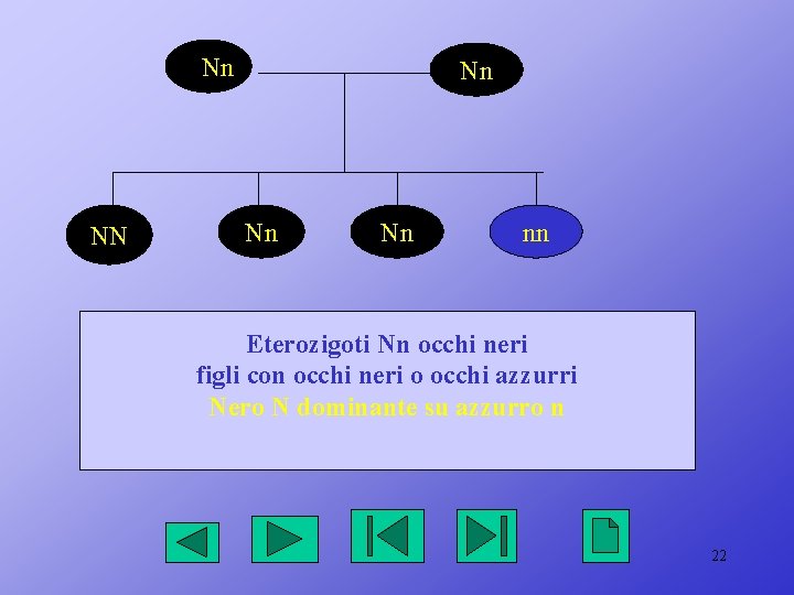 NNn NN Nn Nn Nn nn Eterozigoti Nn occhi neri figli con occhi neri