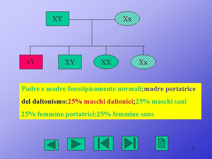 XY x. Y Xx XY XX Xx Padre e madre fenotipicamente normali; madre portatrice