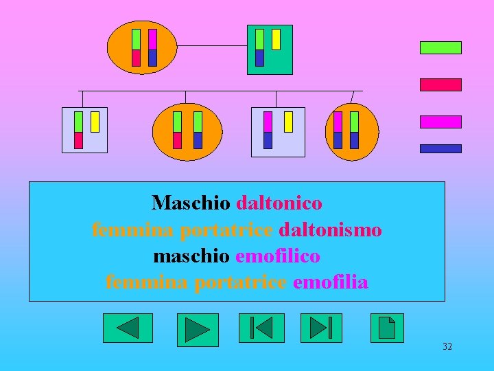 Maschio daltonico femmina portatrice daltonismo maschio emofilico femmina portatrice emofilia 32 