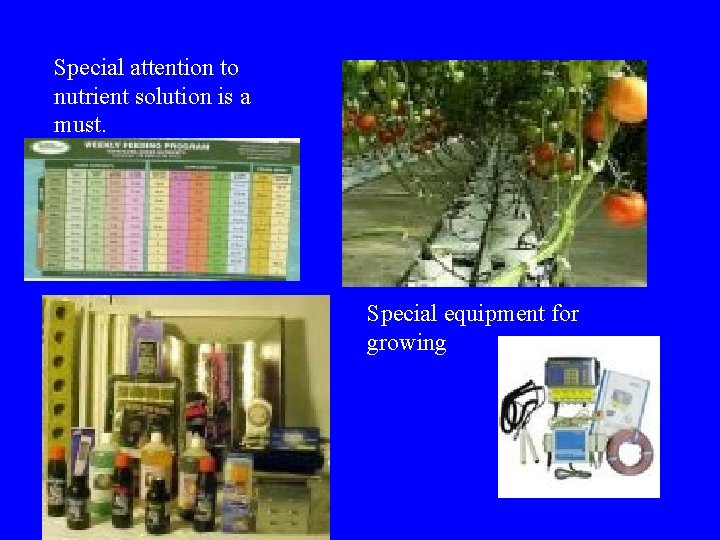 Special attention to nutrient solution is a must. Special equipment for growing 