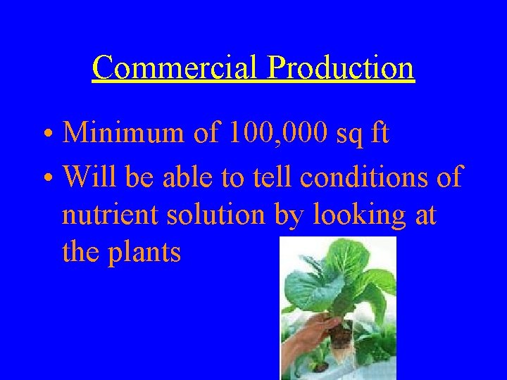 Commercial Production • Minimum of 100, 000 sq ft • Will be able to