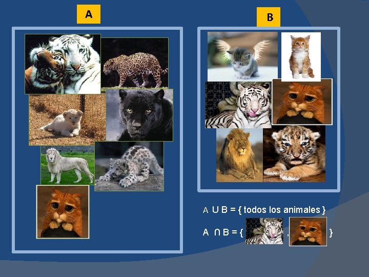 A B A U B = { todos los animales } A ∩B={ ,