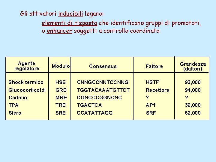 Gli attivatori inducibili legano: elementi di risposta che identificano gruppi di promotori, o enhancer