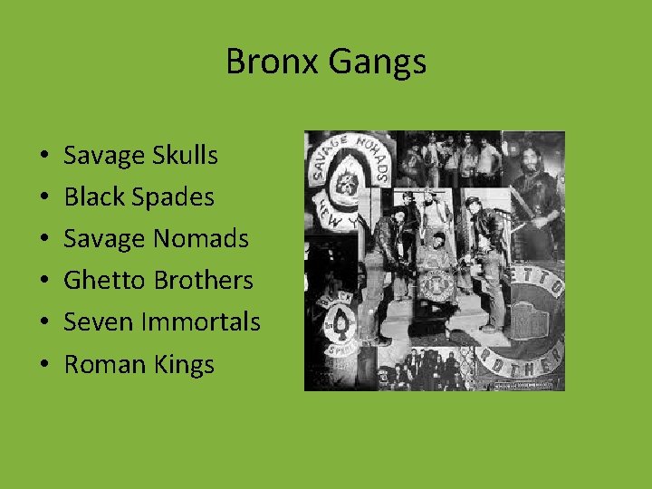 Bronx Gangs • • • Savage Skulls Black Spades Savage Nomads Ghetto Brothers Seven