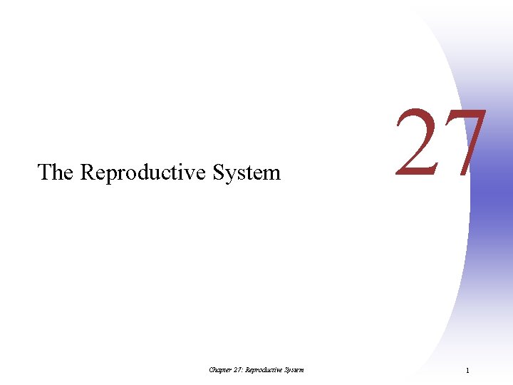 The Reproductive System Chapter 27: Reproductive System 27 1 